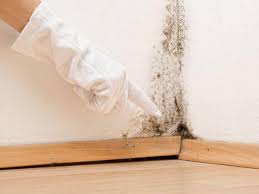 Best Mold Prevention Services  in Salem, WV